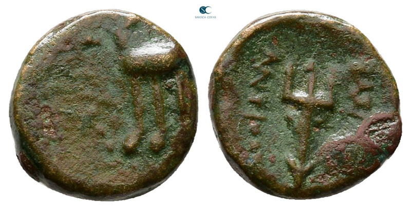 Asia Minor. Uncertain mint circa 300-200 BC. 
Bronze Æ

12 mm, 1,42 g



...