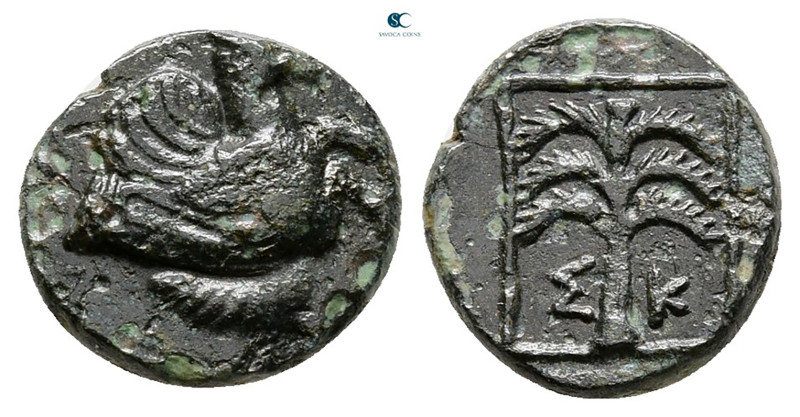 Troas. Skepsis circa 400-310 BC. 
Bronze Æ

11 mm, 1,27 g



Very Fine