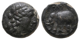 SYRIA
Kingdom of the Seleucids
Antiochus III 223-187
(D) Bronze , Antiochia ad Orontem approx. 223-187 BC. Av.: Head of Apollo with laurel wreath r...