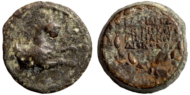 Seleukid Kingdom Greek coin

15mm 3,50g