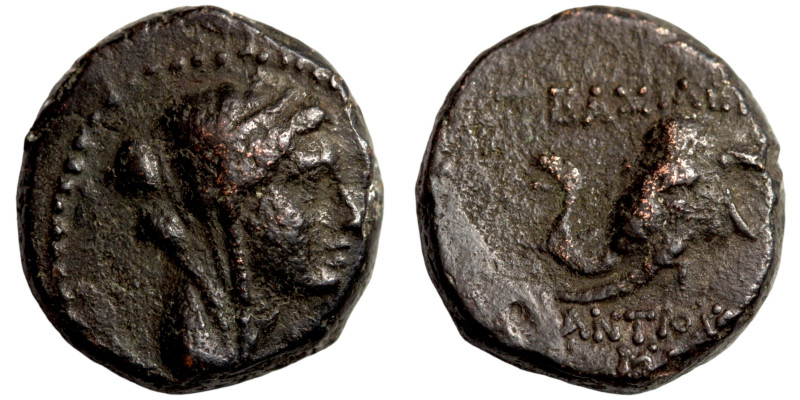 Seleukid Kingdom Greek coin

14mm 4,18g