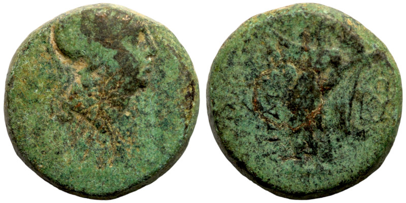 Seleukid Kingdom Greek coin

16mm 4,63g