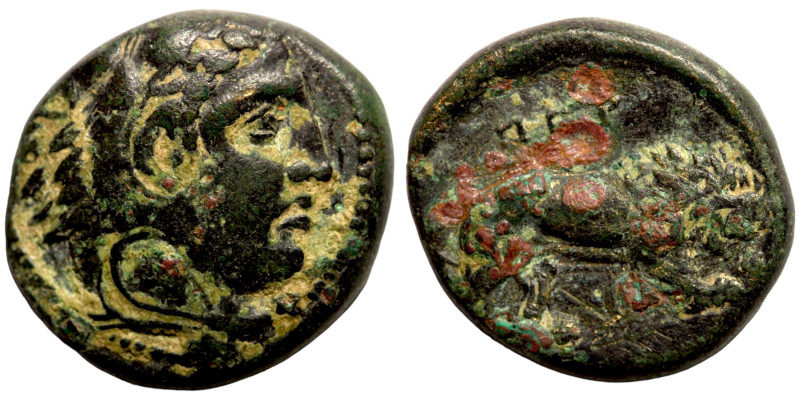 Seleukid Kingdom Greek coin

17mm 5,41g