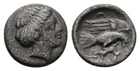 Euboia, Chalkis. AR Hemidrachm, 1.54 g 12.74 mm. Circa 338-308 BC. 
Obv: Head of the nymph Chalkis right 
Rev: Eagle flying right, carrying rabbit in ...