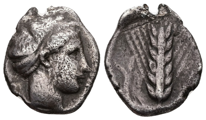 Lucania, Metapontum. AR Didrachm, 7.19 g 24.06 mm. Circa 340-330 BC. 
Obv: Femal...