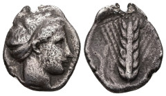 Lucania, Metapontum. AR Didrachm, 7.19 g 24.06 mm. Circa 340-330 BC. 
Obv: Female head to right with hair bound up behind in a sphendone
Rev: Grain ba...