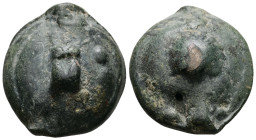 Apulia, Luceria. Aes Grave Biunx, 73.81 g 38.41 mm. (Circa 225-217 BC).
Obv: Astragalus; two pellets (mark of value) in field.
Rev: Scallop shell.
Ref...