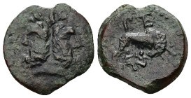 Sicily, Panormos. Ae, 5.83 g 23.02 mm. Circa 120 BC. P. Terentius, magistrate.
Obv: Laureate and bearded head of Janus.
Rev: She-wolf standing right, ...