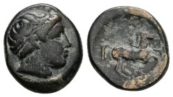 King of Macedon. Philipp II, 359-336 BC. AE. 6.27 g 18.66 mm. Uncertain Macedonian mint.
Obv: Diademed head of Apollo right.
Rev: Youth on horseback...