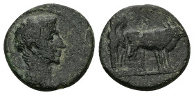 Macedon, Philippi. Augustus, 27 BC-AD 14. AE. 4.39 g. 18.36 mm.
Obv: [AVG]. Bare head of Augustus, right.
Rev: Two founders driving yoke of oxen right...