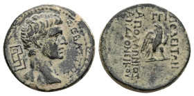 Lydia, Tripolis. Augustus, 27 BC-AD 14. AE. 5.42 g. 20.83 mm. Apollonios, son of Anddronikos.
Obv: ΣΕΒΑΣΤΟΣ. Bare head of Augustus, right; to left, ma...