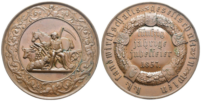 Austria - Medaglia per il 50° anniversario della società agricola di Vienna 1857...