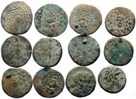 12 Greek AE coins (Bronze, 90.45g)