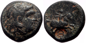 Kings of Macedon, Philip V (221-179 BC) AE (Bronze, 14mm, 3.17g) Uncertain Macedonian mint, struck 221/0 B.C. 
Obv: Head of Herakles right, wearing li...