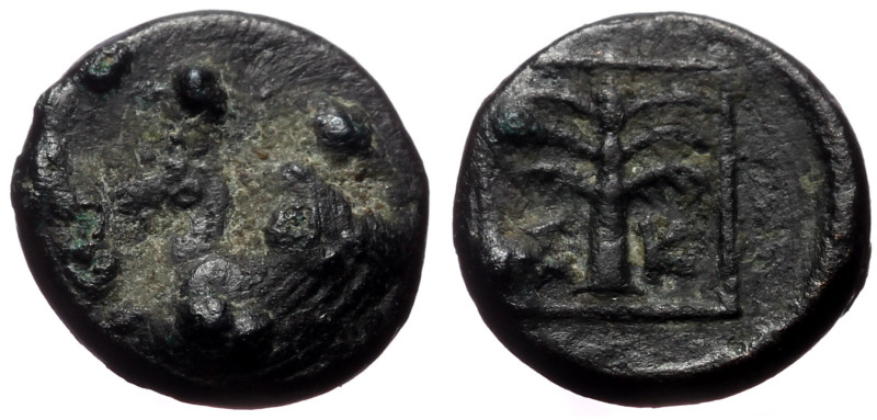 Troas, Skepsis AE (Bronze, 1.49g, 11mm) ca 400-310 BC
Obv: Forepart of Pegasos t...