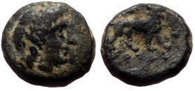 Ionia, Miletos AE (Bronze, 1.27g, 10mm) 313-290 BC, Aristogoras, magistrate.
Obv: Laureate head of Apollo right.
Rev: ΑΡΙΣΤΟΓΟΡΑΣ, Lion standing right...