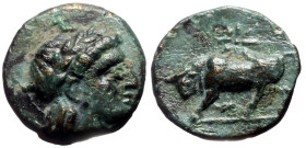 Mysia, Gambrion (4th century BC) AE (Bronze, 10mm, 1.08g) 
Obv: Laureate head of Apollo left 
Rev: Bull butting left; star above. 
Ref: SNG France 906...