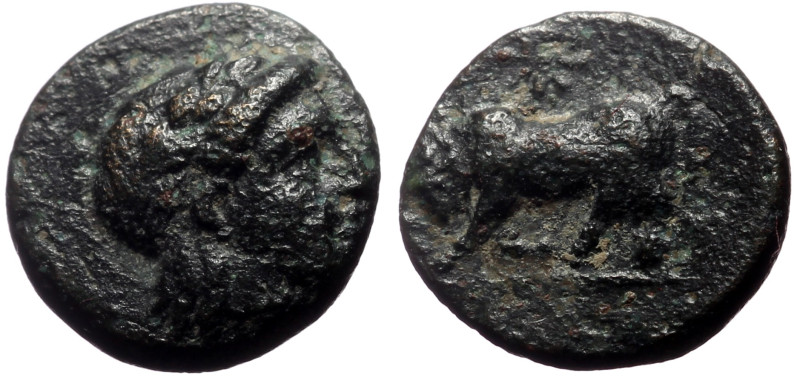 Mysia, Gambrion (4th century BC) AE (Bronze, 10mm, 1.11g) 
Obv: Laureate head of...