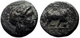 Mysia, Gambrion (4th century BC) AE (Bronze, 10mm, 1.11g) 
Obv: Laureate head of Apollo left 
Rev: Bull butting left; star above. 
Ref: SNG France 906...