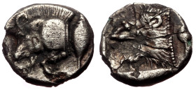 Mysia, Kyzikos AR Diobol (Silver, 1.14g, 11mm) ca 450-400 BC. 
Obv: Forepart of boar left; behind, tunny upward 
Rev: Head of roaring lion left within...