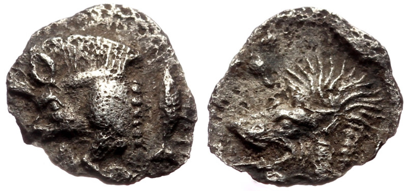Mysia, Kyzikos AR Hemiobol (Silver, 0.33g, 9mm) ca 450-400 BC. 
Obv: Forepart of...