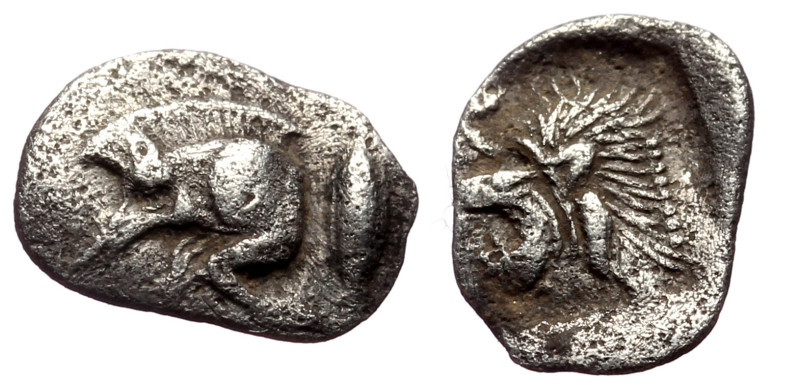 Mysia, Kyzikos AR Hemiobol (Silver, 0.36g, 10mm) ca 450-400 BC. 
Obv: Forepart o...