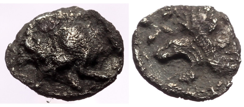 Mysia, Kyzikos AR Hemiobol (Silver, 0.37g, 10mm) ca 450-400 BC. 
Obv: Forepart o...