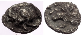 Mysia, Kyzikos AR Hemiobol (Silver, 0.37g, 10mm) ca 450-400 BC. 
Obv: Forepart of boar left; to right, tunny upward 
Rev: Head of roaring lion left; s...