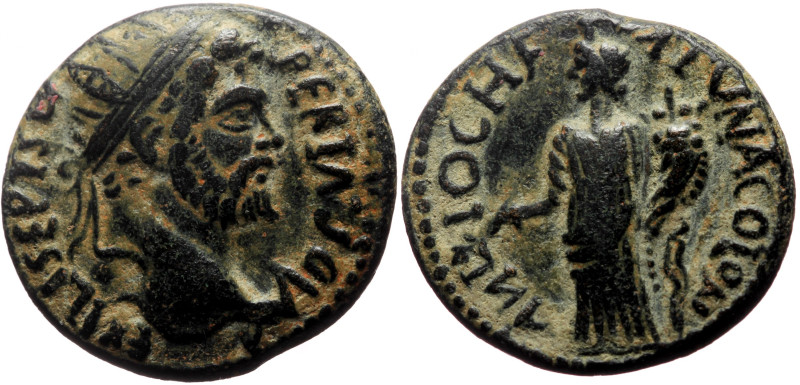 Pisidia, Antioch AE (Bronze, 7.88g, 22mm) Septimius Severus (193-211) 
Obv: L SE...