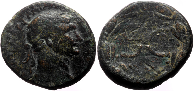 Syria, Antioch AE (Bronze, 16.06g, 23mm) Trajan (98-117) 
Obv: ΑΥΤΟΚΡ ΚΑΙϹ ΝΕΡ Τ...