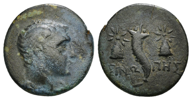 PAPHLAGONIA
Sinope. Ae (Circa 120-100 BC).
Obv: Winged and draped bust right....