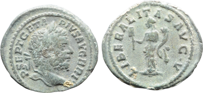 Septimius Severus; AD 193 - 211; Limes BI Denar ; 18-20mm ; 2,7gr