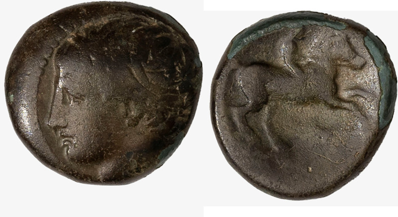 MACEDONIA, FILIPPO II, 359-336 A.C. - bronzo databile al 359-336 a.C.

D/ test...