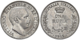 SOMALIA. Vittorio Emanuele III (1909-1925). 1 Rupia 1915. AG. Gig.5. NC

Diritti d'Asta: 18%

BB+