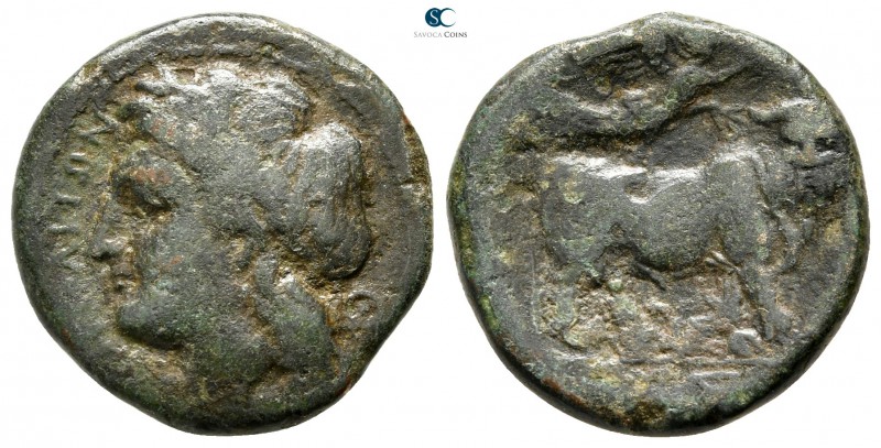Campania. Neapolis circa 270-250 BC. 
Bronze Æ

18 mm., 4,81 g.



nearly...