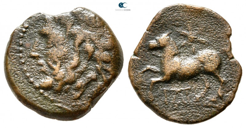 Apulia. Arpi circa 325-275 BC. 
Bronze Æ

16 mm., 3,19 g.



nearly very ...