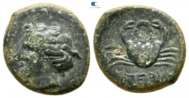 Bruttium. Terina 300-250 BC. 
Bronze Æ

17 mm., 4,00 g.



very fine