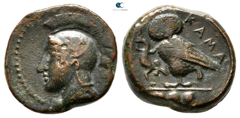 Sicily. Kamarina circa 420-405 BC. 
Tetras Æ

15 mm., 3,28 g.



very fin...