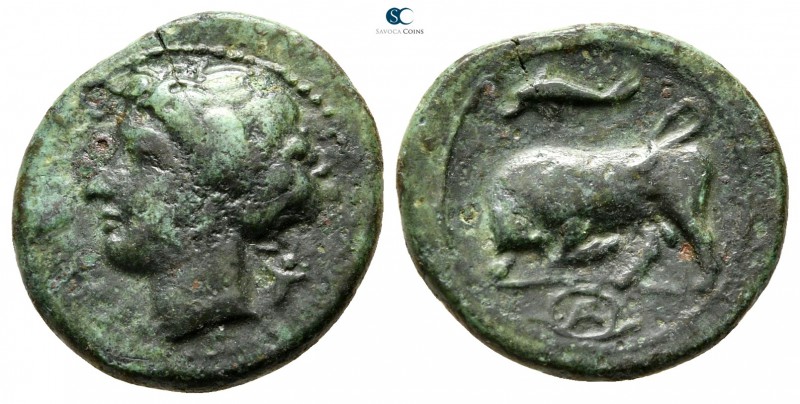 Sicily. Syracuse. Agathokles 317-289 BC. 
Bronze Æ

18 mm., 3,33 g.



ve...