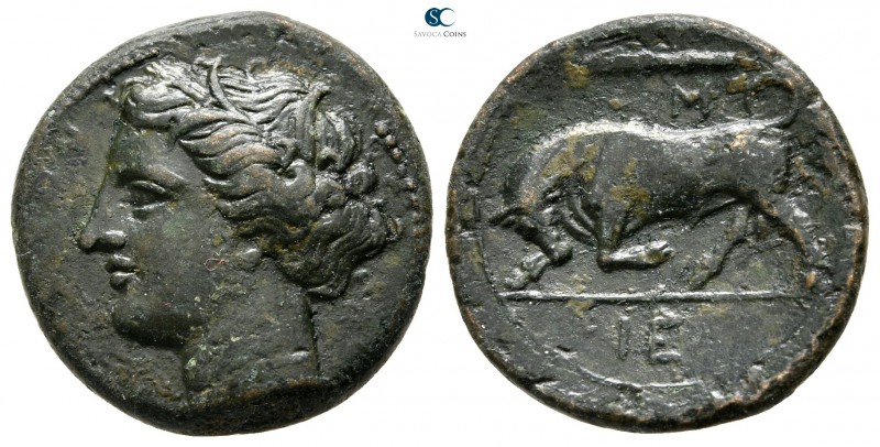Sicily. Syracuse. Hieron II 275-215 BC. 
Bronze Æ

19 mm., 5,64 g.



goo...