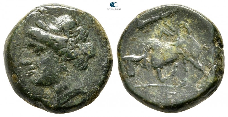 Sicily. Syracuse. Hieron II 275-215 BC. 
Bronze Æ

16 mm., 5,12 g.



nea...