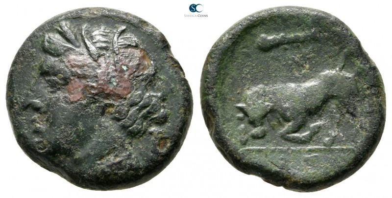 Sicily. Syracuse. Hieron II 275-215 BC. 
Bronze Æ

17 mm., 4,19 g.



nea...