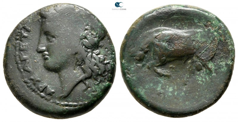 Sicily. Tauromenion after 357 BC. 
Bronze Æ

20 mm., 6,06 g.



nearly ve...