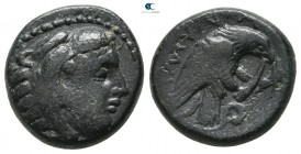 Kings of Macedon. Aigai or Pella. Amyntas III 393-369 BC. Tetrachalkon Æ