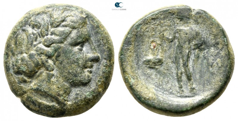 Thrace. Sestos 300-250 BC. 
Bronze Æ

17 mm., 5,34 g.



very fine