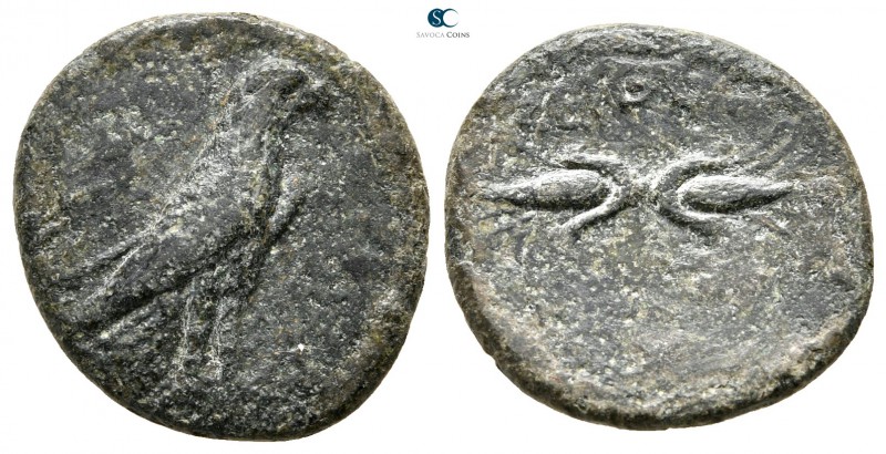 Kings of Thrace. Seuthes III 323-316 BC. 
Bronze Æ

18 mm., 3,30 g.



ne...