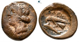 Scythia. Olbia circa 350-300 BC. Bronze Æ