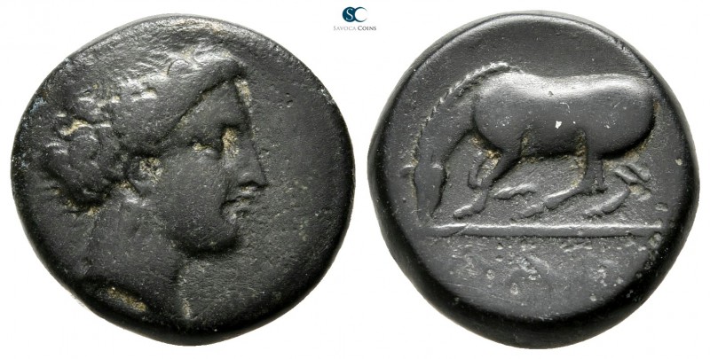 Thessaly. Larissa 380-370 BC. 
Dichalkon Æ

17 mm., 4,67 g.



very fine