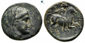 Thessaly. Pelinna 300-200 BC. Bronze Æ