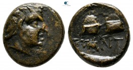 Cimmerian Bosporos. Pantikapaion circa 150-120 BC. Bronze Æ